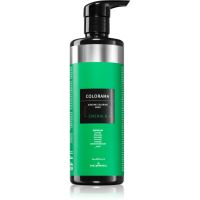 Kléral system Colorama barvna maska za vse tipe las Emerald 500 ml