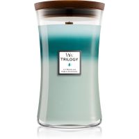 Woodwick Icy Woodland ароматна свещ с дървен фитил 609,5 гр.