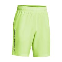 Boys' shorts Under Armour Tech Woven Wordmark Short