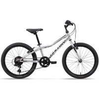 Odlehčené dětské kolo Galaxy Neptun 20" 10.0 • 113-135 cm • 11,3 kg 10" (113-135 cm) stříbrná