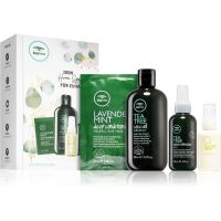 Paul Mitchell Tea Tree комплект (за чуплива и къдрава коса)