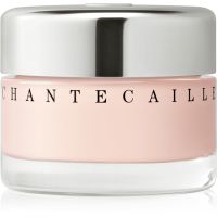 Chantecaille Future Skin Gel Foundation Hydratisierendes Make Up mit aufhellender Wirkung Aura 30 g