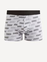 Celio Fichill Boxer-Shorts Grau