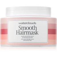 Waterclouds Smooth Hairmask Haarmaske für unnachgiebige und strapaziertes Haar 250 ml