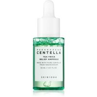 SKIN1004 Madagascar Centella Tea-Trica Relief Ampoule beruhigendes Gesichtsserum für problematische Haut, Akne 30 ml