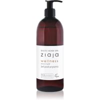 Ziaja Baltic Home Spa Wellness relaksirajući gel za tuširanje 500 ml