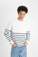 DEFACTO Comfort Regular Fit Relaxed Fit Crew Neck Striped Thick Fabric Sweatshirt