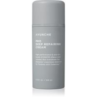 AYUNCHE Pro Deep Repairing Cream hloubkově regenerační krém pro poškozené vlasy 100 ml