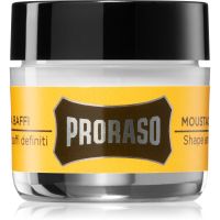 Proraso Wood and Spice Schnurrbartwachs 15 ml