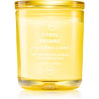 DW Home Prime Citrus Orchard lumânare parfumată 264 g