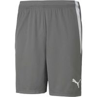 Puma TEAM LIGA SHORTS Мъжки къси шорти, сиво, размер