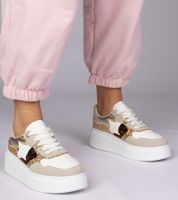 marka niezdefiniowana Panterkowe sneakersy z brokatem i zwierzęcym drukiem Bertula