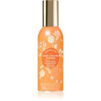 Bath & Body Works Sweet Cinnamon Pumpkin oсвіжувач для дому 42,5 гр