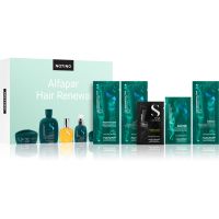 Beauty Discovery Box Notino XL - Alfaparf Hair Renewal Set für Damen