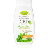 Bione Cosmetics Cannabis CBD regeneračný kondicionér na vlasy 260 ml