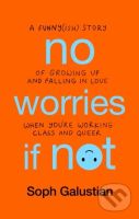 No Worries If Not (A Funny(ish) Story of Growing Up and Falling in Love When You're Working Class and Queer) - kniha z kategorie Autobiografie