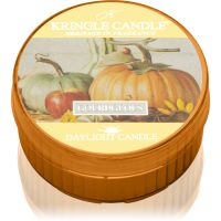 Kringle Candle Gourdgeous чайні свічки 42 гр