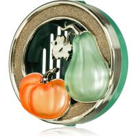 Bath & Body Works Pumpkin and Gourd поставка за ароматизатор за автомобил без пълнител 1 бр.