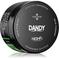 DANDY Water Pomade Anti-Gravity Effect Haarpomade mit starker Festigung 100 ml