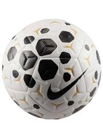 Nike Academy Plus Ball 5