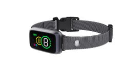 Reedog No Bark Smart Mini TC-011 | Ugatásgátló nyakörv