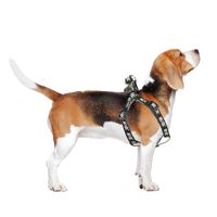Hundegeschirr AC / DC XS/S
