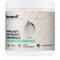 brandl Shilajit Extrakt Kapseln zur Aufrechterhaltung guten Funktion des Organismus 120 KAP