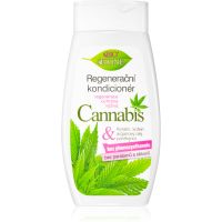 Bione Cosmetics Cannabis regeneračný kondicionér 260 ml