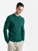 Celio Bepic Pullover Grün