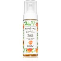 Anwen Peach & Coriander čistiaca pena pre suchú a citlivú pokožku hlavy 170 ml