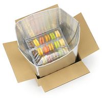 25 x Krabice s izotermickou vložkou Isopro, 28l