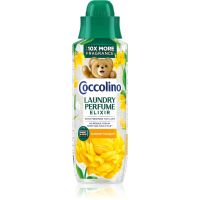 Coccolino Summer Bouquet atsvaidzinātājs apģērbu skapim 460 ml