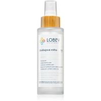 Lobey Skin Care Obličejová Mlha тонізуюча маска для обличчя 100 мл