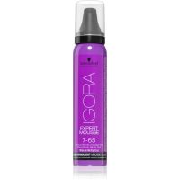 Schwarzkopf Professional IGORA Expert Mousse farbiaca pena na vlasy odtieň 7-65 Medium Blonde Chocolate Gold 100 ml