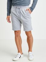 Ragwear Zyan Shorts Grau