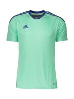 ADIDAS PERFORMANCE Tehnička sportska majica  žad / crna