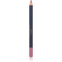 Aden Cosmetics Lipliner Pencil svinčnik za ustnice odtenek 62 EXTREME NUDE 1,14 g