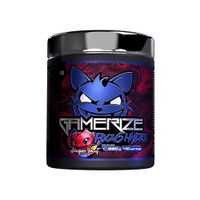 FITNESS AUTHORITY - Gamerize Focus Hydro - 280g - Dragon Fruit