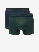 Replay Boxershorts 2 Stück Grün