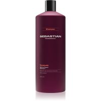 Sebastian Professional Penetraitt șampon pentru par degradat sau tratat chimic 1000 ml