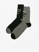 Set of two pairs of men's socks in gray and black Replay - Men