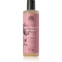 Urtekram Soft Wild Rose sanftes Shampoo für gefärbtes Haar 250 ml