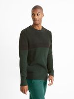 Celio Ceriblock Pullover Grün