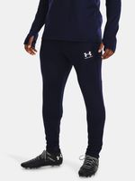 Under Armour UA M's Ch. Train Hose Blau
