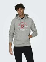 ONLY & SONS Lenny Sweatshirt Grau