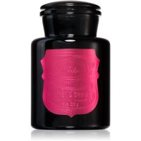 Paddywax Apothecary Noir Linen & Orris świeczka zapachowa 226 g