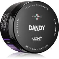 DANDY Cream Pomade Matt Finish Mattierende Haarpomade 100 ml