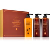 DAENG GI MEO RI Honey Therapy Professional Hair Care Set подаръчен комплект (за подхранване и хидратация)