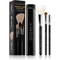 Sigma Beauty Essential Set mit kleinen Pinseln für das Gesicht