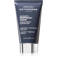 Institut Esthederm Intensive Propolis+ Purifying Mask maska za čišćenje za problematično lice, akne 75 ml